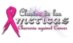 cdla logo 2